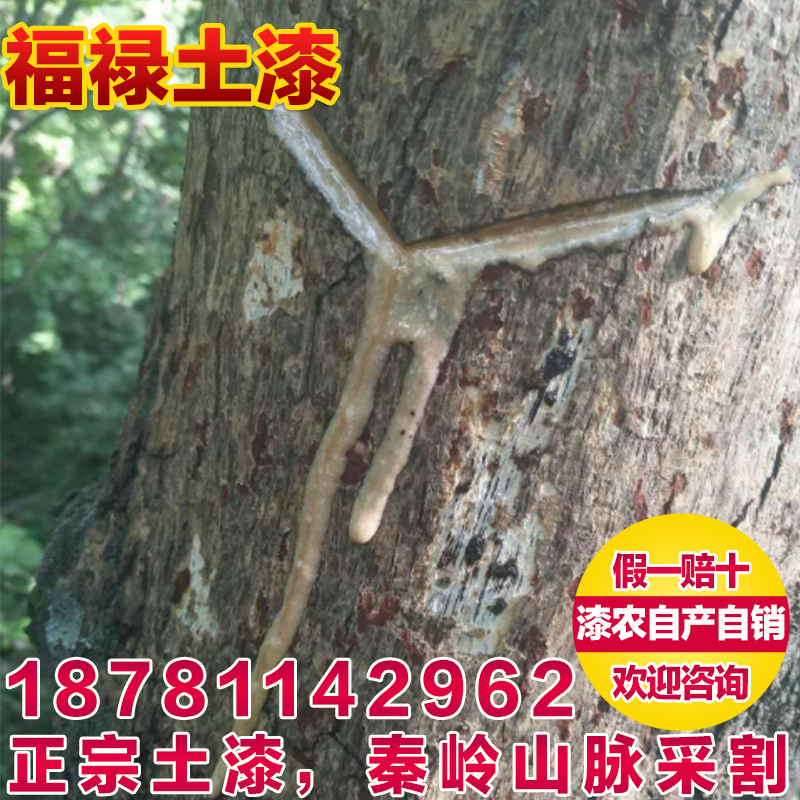 陕西土漆包邮漆树采割大漆采自漆树无添加精细过滤国漆生漆75一斤|msdalam kategori bahan binaan asas, cat, Wood, Wood berminyak - dari Buy2taobao.com untuk memberikan perkhidmatan ejen Taobao profesional membeli