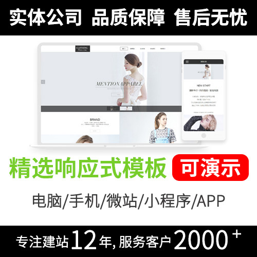 深圳高端网站模板制作 展现企业高端形象 模板R293