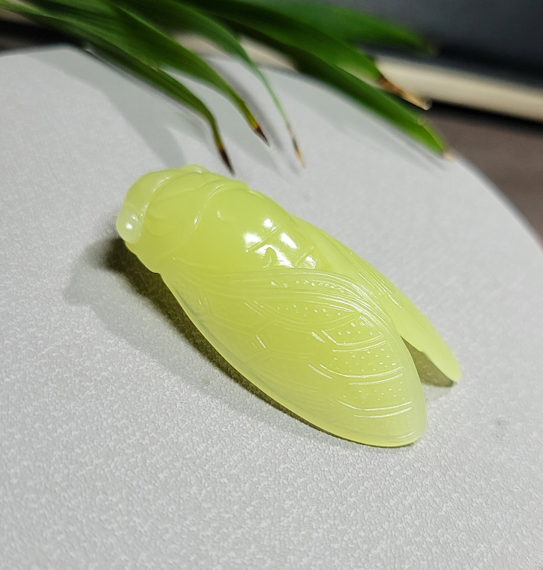 Z053003新疆的猫16.8克冒油色靓纯美若羌黄口玉苏工金蝉一鸣惊人