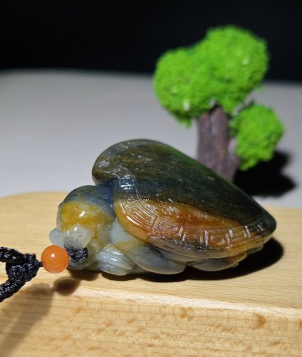 新疆的猫W110104 39克满背原皮原毛孔！沁红青花俄籽龙龟