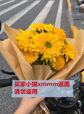 进口重瓣观赏向日葵 高杆分枝型 绿色爆发 Greenburst