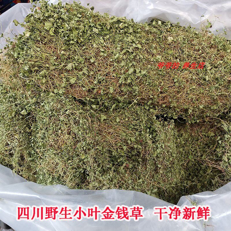 四川野生正宗金钱草干250g中药材小叶马蹄金中草药泡水喝溶石茶
