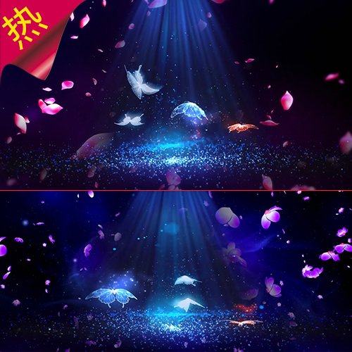 蝶恋花 舞蹈背景 蝴蝶花瓣花朵 芭蕾舞 浪漫梦幻婚礼 视频素材