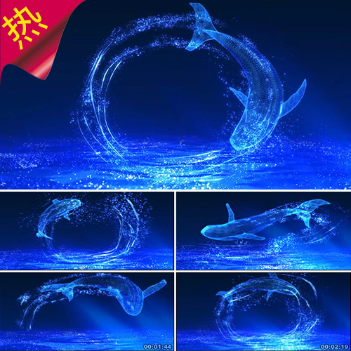 大鱼（周深配乐成品） 大鱼海棠舞蹈背景 深蓝全息海洋 视频素材