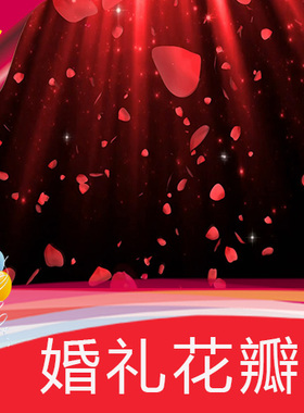 浪漫花瓣婚礼背景 唯美红色花瓣 喜庆婚庆 粒子星空 视频素材