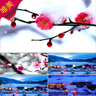 北国之春 配乐成品 冬天寒梅腊梅雪梅 雪地村庄房屋下雪 视频素材