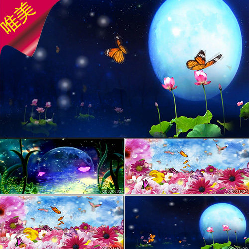 蝶恋花 儿童舞蹈背景 歌唱MV 月亮蝴蝶花丛 唯美月光 视频素材