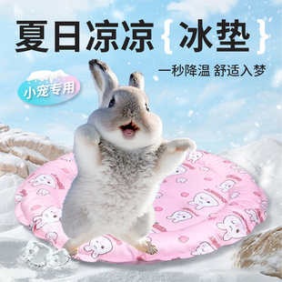 兔子夏天窝降温神器夏天冰垫窝宠物降温散热仓鼠荷兰猪兔子冰窝
