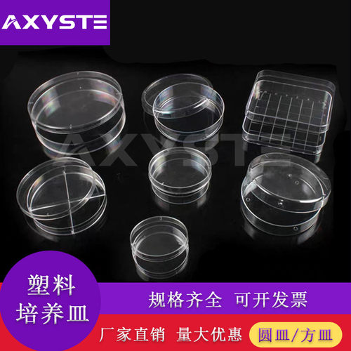 35/60/70/90/100/150/10*10方皿13*13一次性塑料培养皿 整箱价