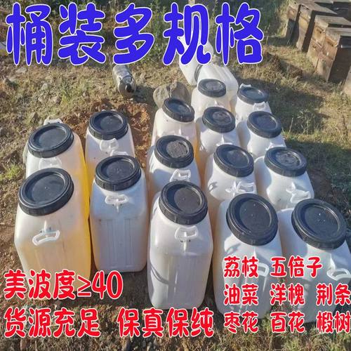 龙眼蜜椴树蜜五倍子蜂蜜百花蜜大枣蜂蜜散装桶装蜂场供成熟原蜜
