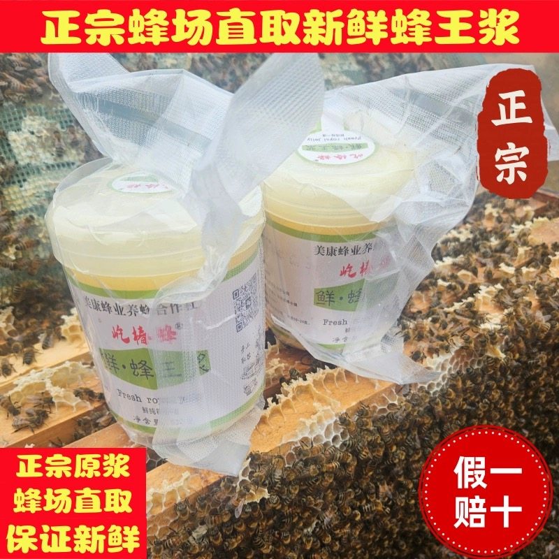 正品蜂王浆新鲜蜂皇浆屹椿蜂老店天然纯正青海采野生花蜂王浆500g
