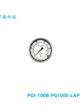 【PGI-100B-PG1000-LAP1】Swagelok世伟洛克100mm尺寸0至1000psi