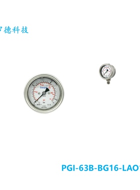 【PGI-63B-BG16-LAO1】Swagelok世伟洛克工业压力表卡口环 63 mm