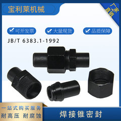 JB/T6383.1 Con dấu cứng hình nón hàn mối nối ống thẳng H loại con dấu hình nón 24 độ Mối hàn đối đầu nối ống thủy lực đầu nối thủy lực