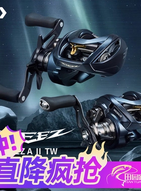 23新款日本DAIWA达亿瓦史帝兹steez a2 TW水滴轮远投微物四弟子