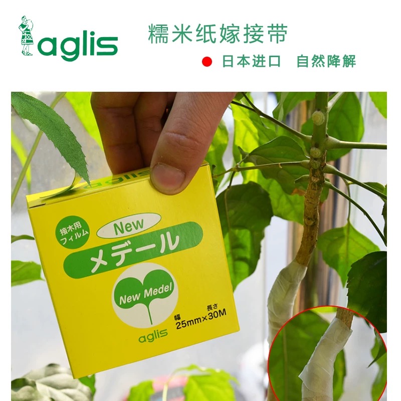 日本原装进口糯米纸嫁接膜