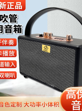 专业级多功能音箱20瓦功率