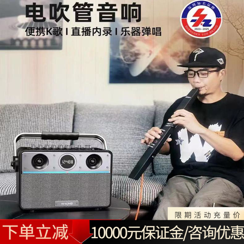 维尔晶T16S音响直播乐器电吹管萨克斯K歌户外大功率一体蓝牙音箱