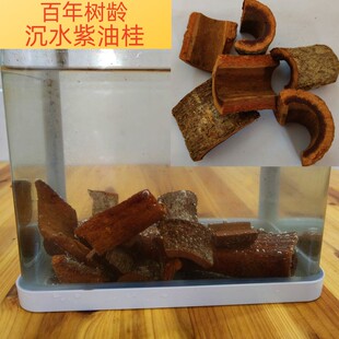 百年树龄沉水紫油桂 中药材油桂 高山紫油桂 广西老油桂 沉水桂