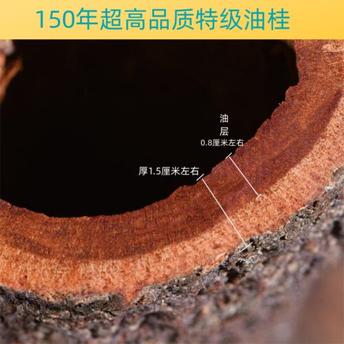 油桂中药材广西肉桂百年树龄药用油桂非越南肉桂紫油桂中药材板桂