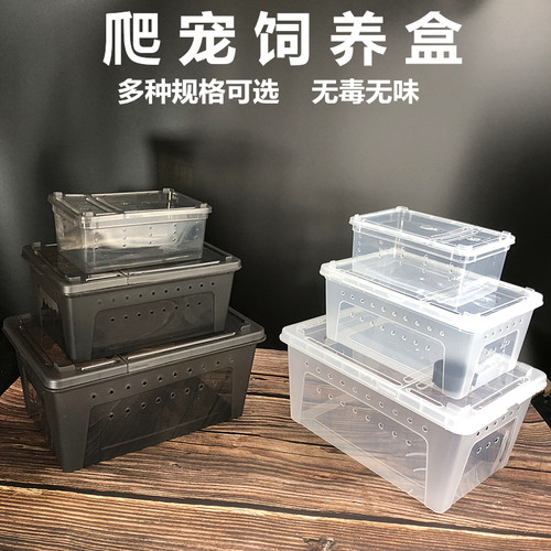 带盖宠物蛇蜘蛛守宫蜗牛饲养盒