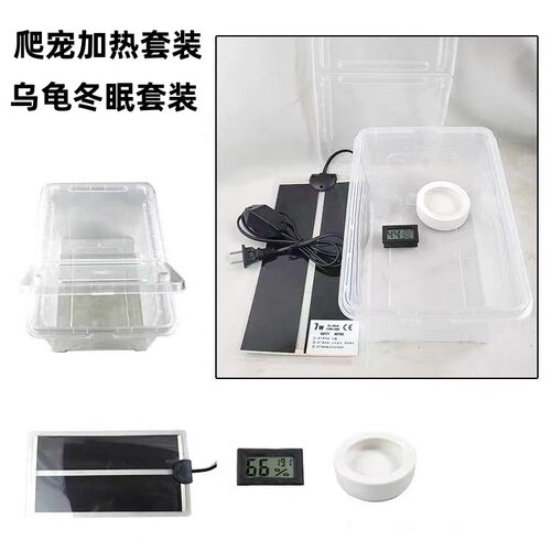 掌上名蛛桌面PP小型爬宠加温保温