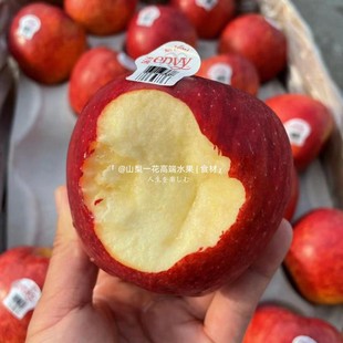 现货新西兰爱妃苹果envy大果脆甜多汁新鲜水果12个礼盒装 顺丰美国