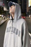 秋季潮流秋季字母印花连帽卫衣B315-HK2002-P65控88，男装卫衣，电商B315