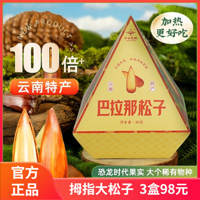 巴拉那松子中云巴松云南特产熟食拇指大松子坚果零食礼盒80g/盒