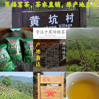 2024蕉岭头春明前新茶手工炒茶黄坑茶绿茶客家绿茶猪兜窝茶