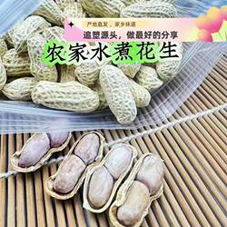 梅州特产蕉岭煮花生日晒干农家花生花生特产正宗东石花生咸干