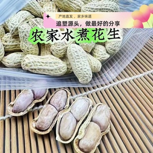 梅州特产蕉岭煮花生日晒干农家花生花生特产正宗东石花生咸干