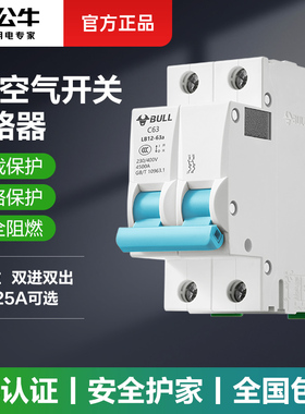 公牛2p空气开关100a家用c63a电闸小型总闸32a空开空气断路器开关