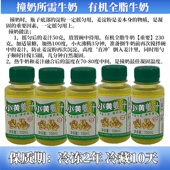 姜汁撞奶用 生姜汁纯冷榨姜汁食用老姜汁原汁原液水姜汁核桃炖蛋