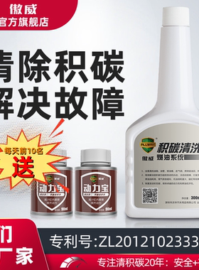 傲威汽油燃油宝除积碳清洗剂燃油添加剂发动机除炭剂正品pea原液