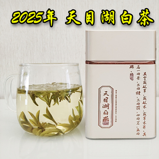 2025年天目湖白茶新茶上市春茶叶明前头采特级包邮醇香好溧阳特产