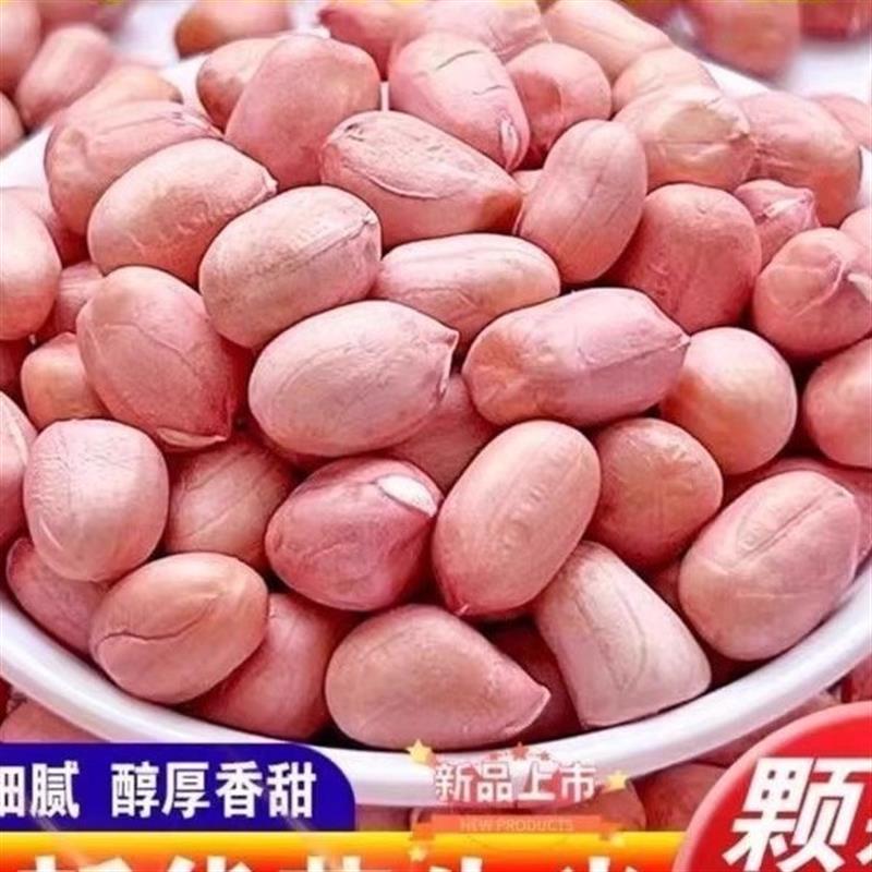 2025年新货现剥大颗粒新鲜花生米粉皮榨油不带壳白沙花生米