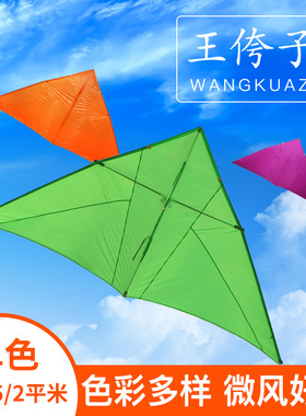 潍坊正品王侉子伞布三角风筝碳杆成人初学者易飞大型特大高档线轮