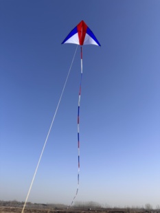 王侉子风筝潍坊风筝伞布三角风筝微风小风易飞质量保证伞布尾巴