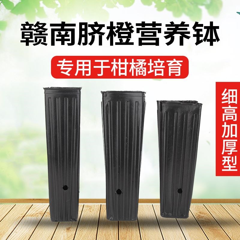盆栽瓜果保湿播种防老化塑料袋育苗钵瓜苗!育苗袋塑料。营养杯? Изображение 1 盆栽瓜果保湿播种防老化塑料袋育苗钵瓜苗!育苗袋塑料。营养杯? Изображение 1