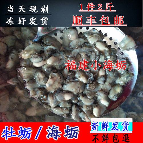 1件5斤 福建小海蛎 去壳牡蛎新鲜海蛎子生蚝肉牡蛎肉 小生蚝肉