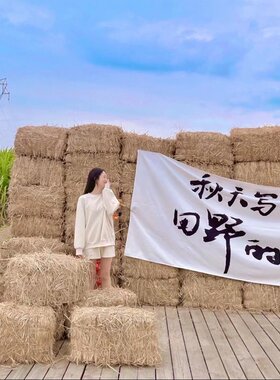 草垛子草墩凳子拍摄道具
