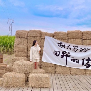 草垛 草堆 草墩凳拍摄道具打卡露营布置婚庆农家乐装饰干稻草沙发