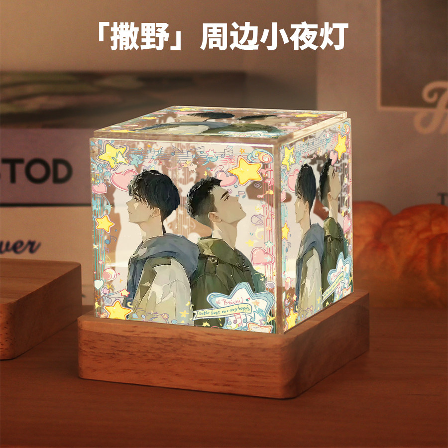 撒野小说周边顾飞蒋丞顾淼小夜灯二次元动漫桌面摆件送礼物朋友