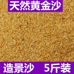 黄金沙专用斑马狗头鱼底沙沙鼠鱼底砂鱼缸造景河豚黄化妆沙