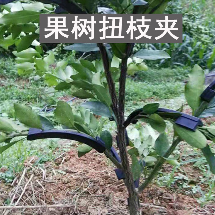 扭枝夹果树拉枝定型器树枝矫正造型工具枝条固定开角器盆景拿弯器