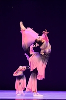 典舞愛(ài)蓮說(shuō)演出服女飄逸中國(guó)風(fēng)