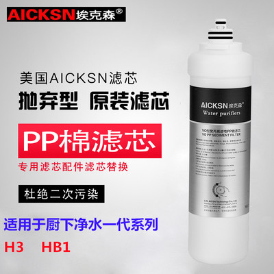 原装正品美国埃克森HB1 H3净水器专用滤芯一代末端净水器更换滤芯