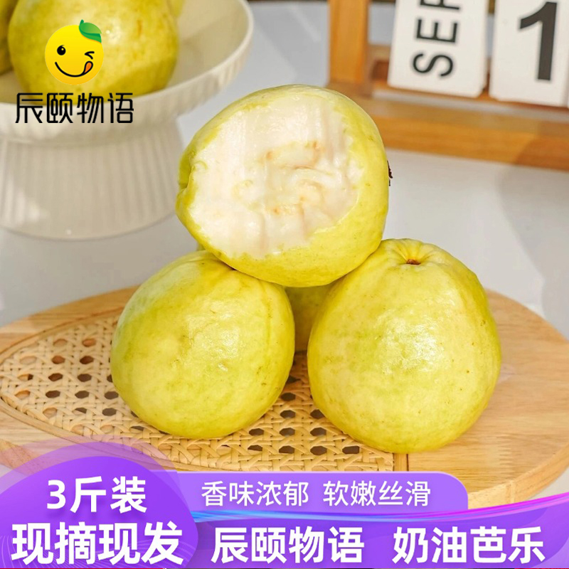 辰颐物语广西白心芭乐奶油番石榴