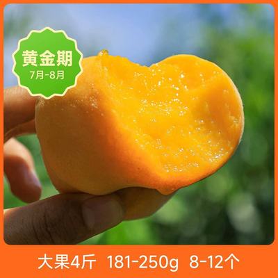辰颐物语新鲜蒙阴黄金毛蟠桃水果